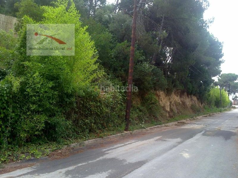 Foto 9b297771-a4ad-488b-af57-29d623965914. Terreny residencial a Llagostera