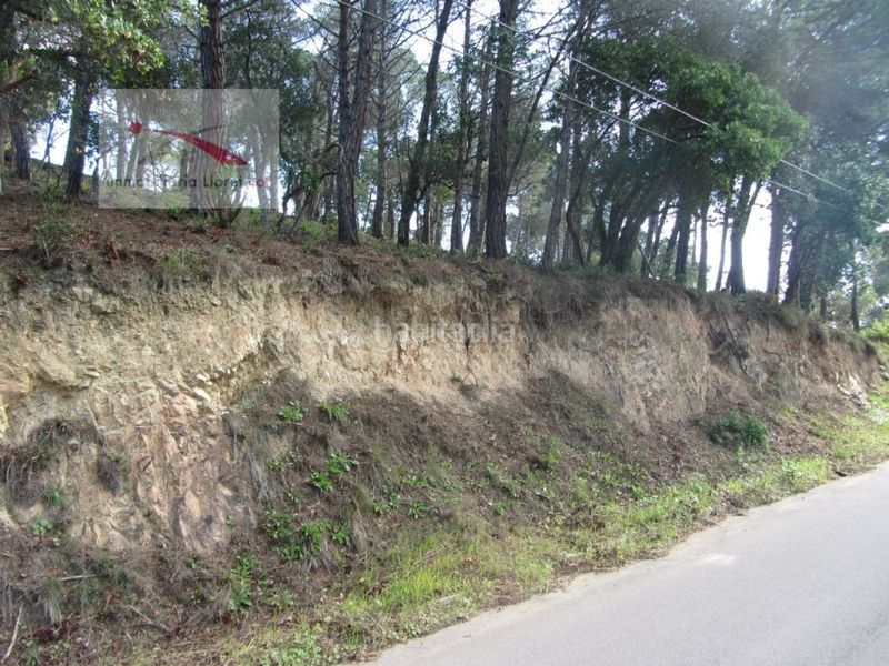 Foto 9d5cf35c-3a1d-4a8a-a3d7-f8b4611d6194. Terreny residencial a Llagostera