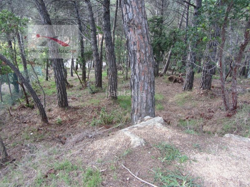 Foto bb4790e3-ea7a-4cbb-9932-ab8b6cf5434e. Terreny residencial a Llagostera