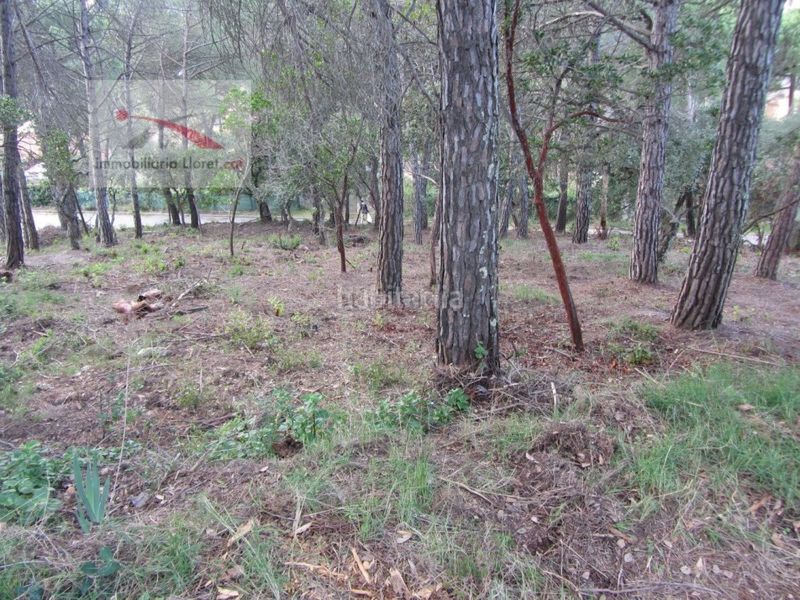 Foto ce75d57c-cc5b-441a-9741-4ee36b5999ce. Terreny residencial a Llagostera