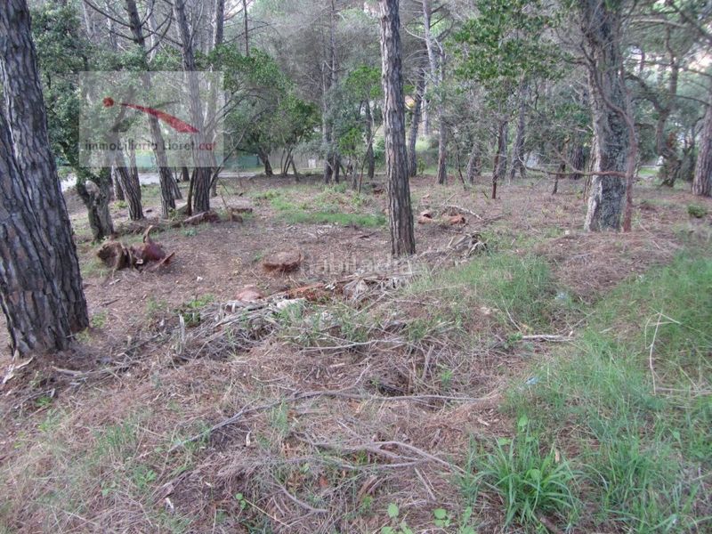 Foto eb62b28f-ec89-4a5f-9e91-3e5b420150ac. Terreny residencial a Llagostera