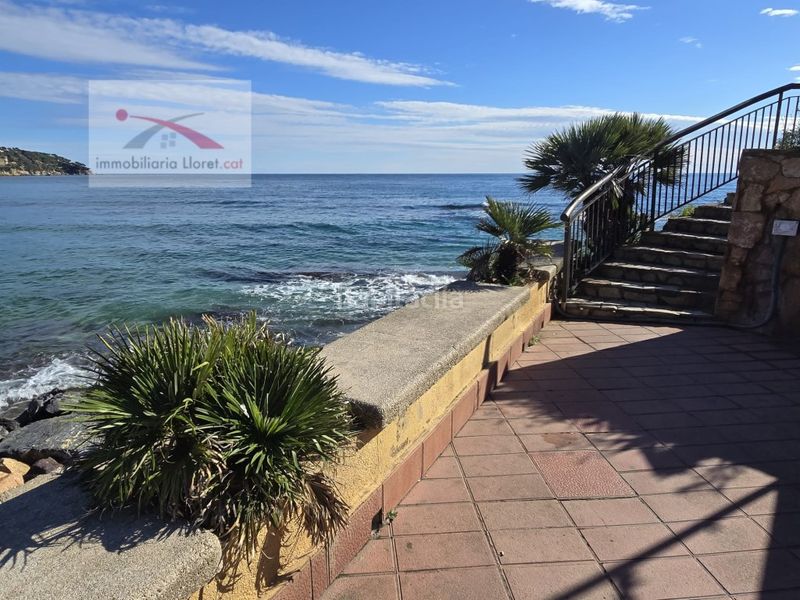 Foto e16679bc-c910-422d-80ad-adc013c7293a. Terreny residencial a Lloret Blau - La Creu de Lloret Lloret de Mar