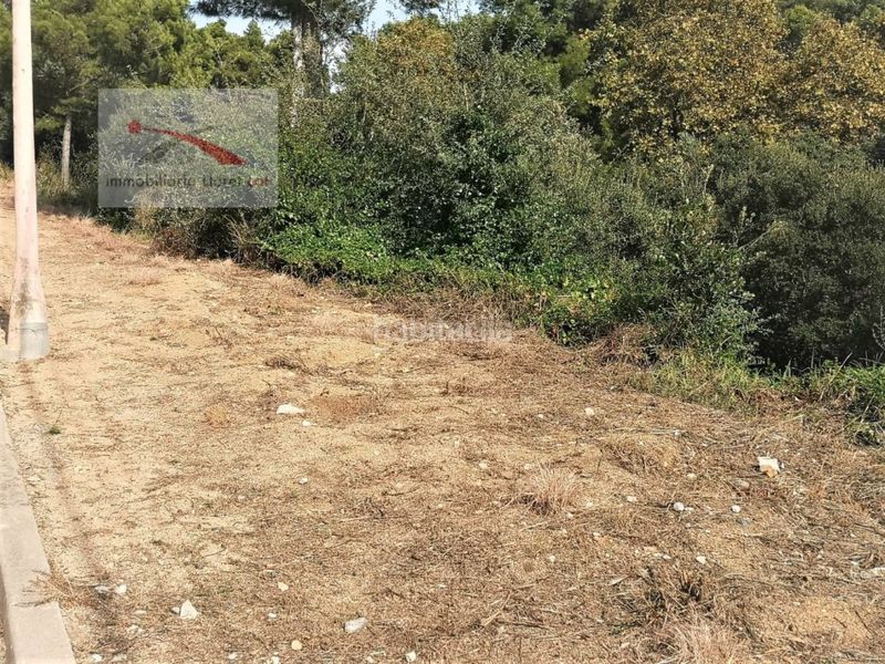 Foto 13446e49-3f91-4b42-acb0-b899fda69bb4. Terreny residencial a Santa Maria de Llorell Tossa de Mar