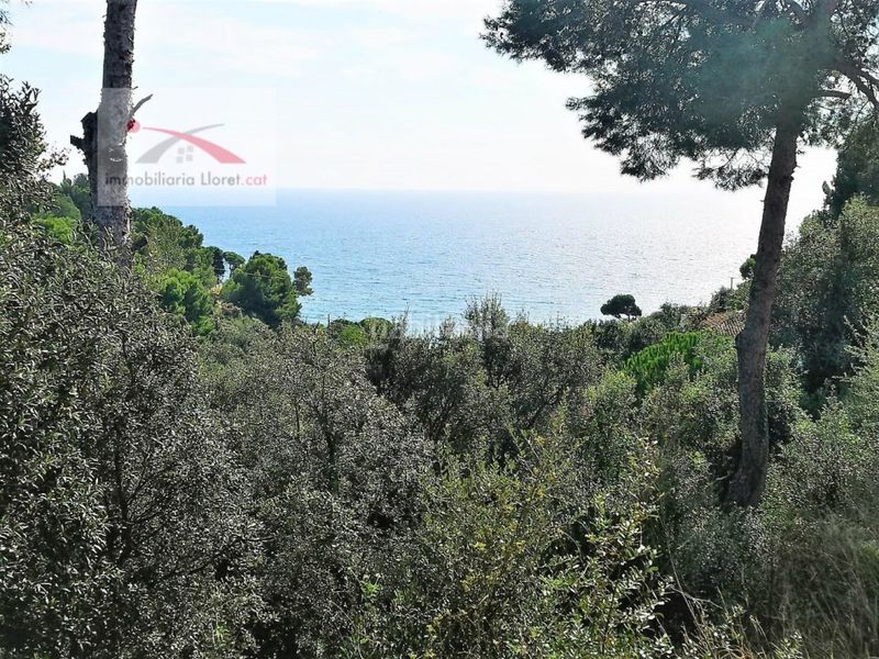 Foto 16566374-191a-445f-929f-4085ef3e6038. Terreny residencial a Santa Maria de Llorell Tossa de Mar