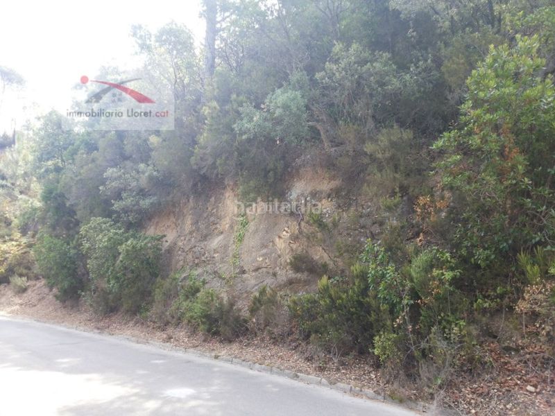 Foto 22b0d6fe-4514-44a1-adaf-a4986a0eb059. Terreno residencial en carrer de les orenetes 43 terreno 800m2 con vistas preciosas a las montañas en Lloret de Mar