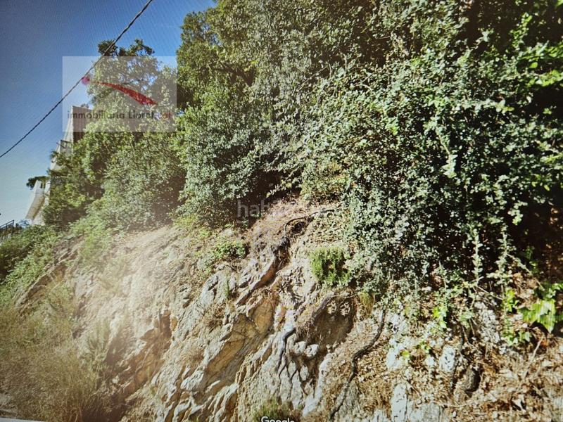 Foto 5fc3a397-7d77-45ce-acba-1874f58071a7. Terreno residenziale in Roca Grossa Lloret de Mar