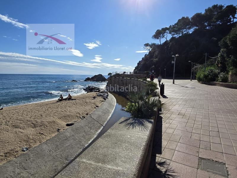 Foto 37180110-b937-4121-bca6-fd3e8914e2a9. Terreny residencial a carrer bedoll 127 a Aiguaviva Parc Vidreres