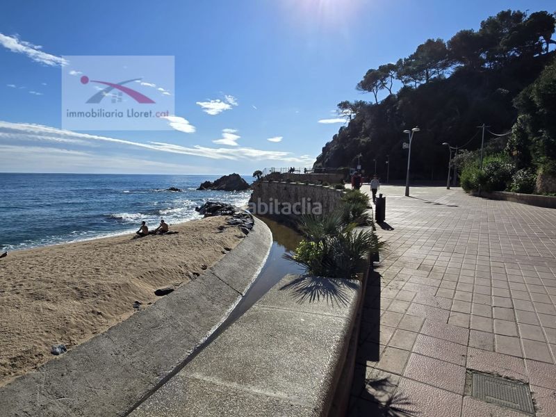Foto 372afa30-2697-4ab3-8c25-c21dde25d02c. Terreny residencial a Lloret Blau - La Creu de Lloret Lloret de Mar