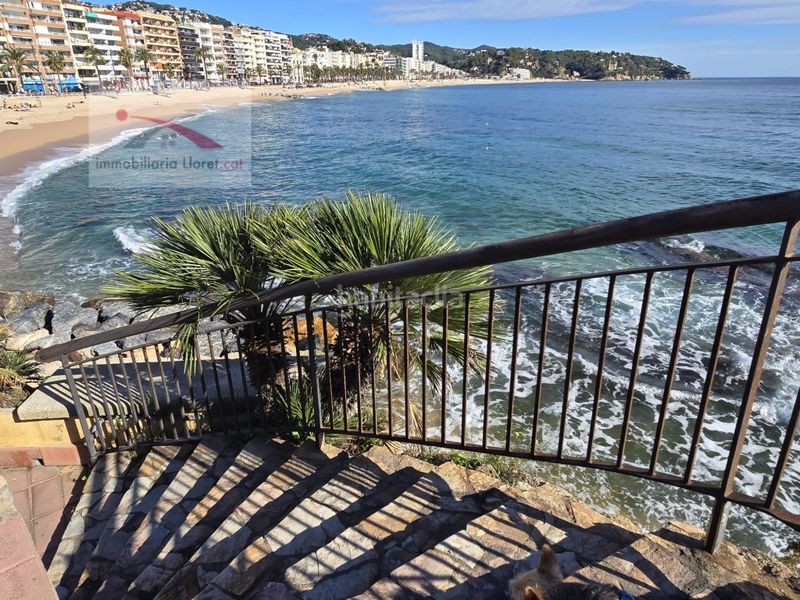 Foto 3c59706d-7fec-42d6-ba4b-4b6d10542bf1. Terreny residencial a Lloret Blau - La Creu de Lloret Lloret de Mar