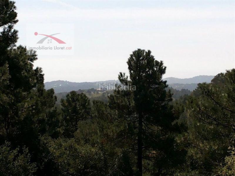 Foto 653d28eb-5fa7-495a-b1a6-9b78184ebd67. Terreny residencial a Lloret Blau - La Creu de Lloret Lloret de Mar