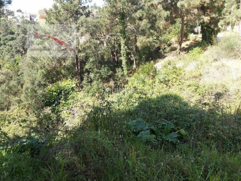 Foto 6b4d8eb0-e18b-4305-80cf-a109ce9ecbca. Terreny residencial a Lloret Blau - La Creu de Lloret Lloret de Mar