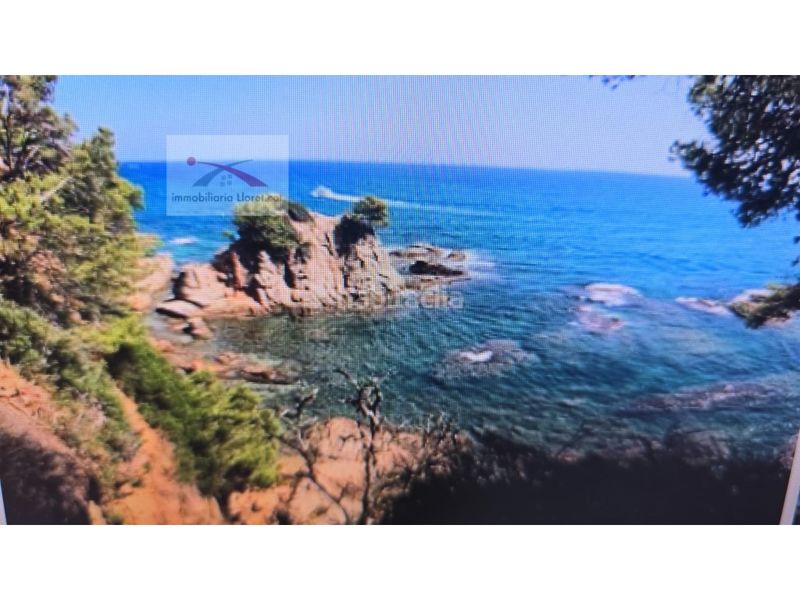 Foto 9f1d68db-2d8f-4c21-9bf6-6334b97ae0b1. Terreny residencial a Lloret Blau - La Creu de Lloret Lloret de Mar