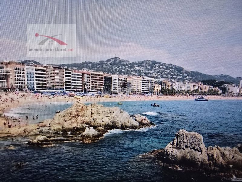 Foto af1ebe94-b2dc-44da-a9c6-13fa71554e9a. Terreny residencial a Lloret Blau - La Creu de Lloret Lloret de Mar