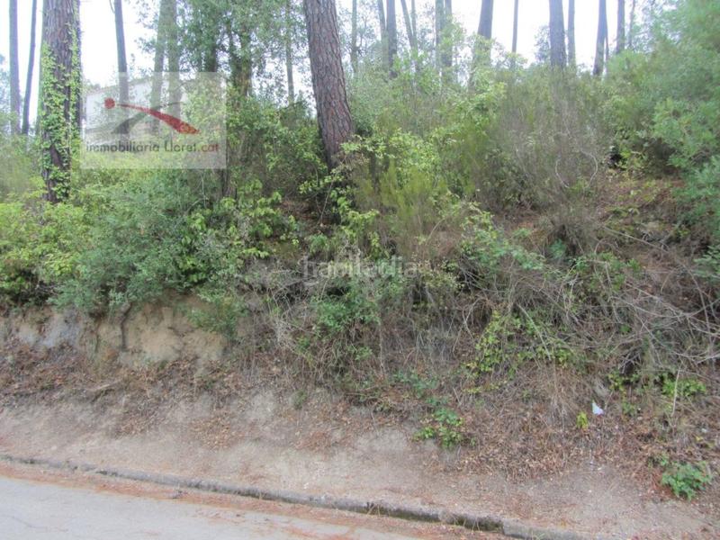 Foto 188545e1-c794-4c01-ab11-873d4fae6b67. Residential plot in Lloret Blau - La Creu de Lloret Lloret de Mar