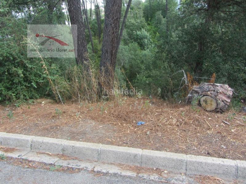 Foto 3043daaa-588e-4bee-b1d3-371bd285951c. Residential plot in Lloret Blau - La Creu de Lloret Lloret de Mar