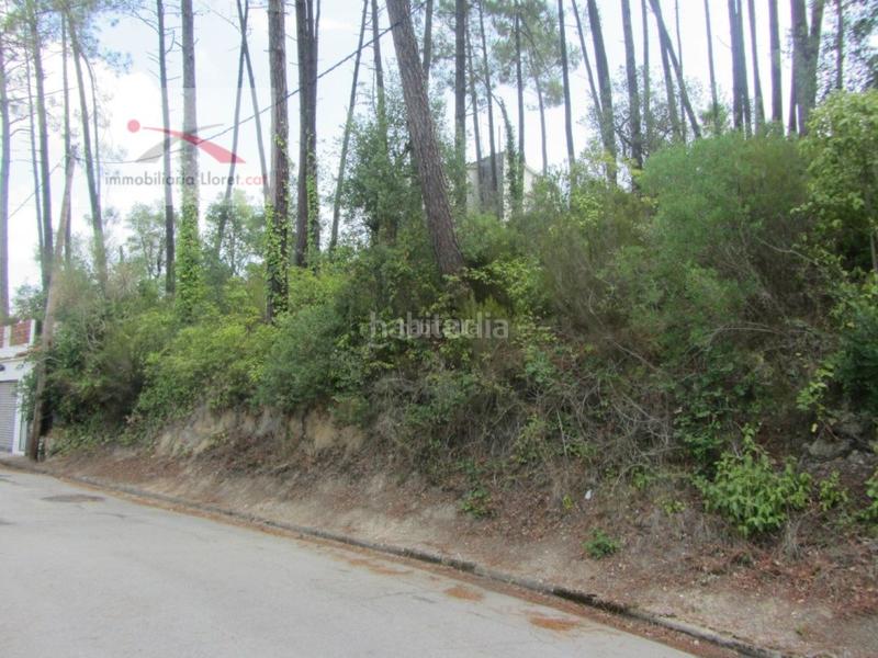 Foto 899d84c1-1f24-4b1a-a2ee-0f223a0cb4ab. Residential plot in Lloret Blau - La Creu de Lloret Lloret de Mar