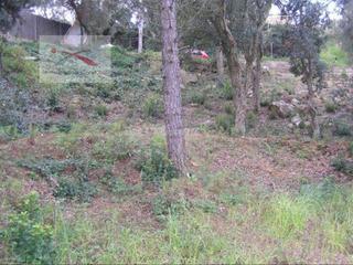 Terreny residencial a Serra Brava. Poca pendiente descendiente urb.serrabrava
