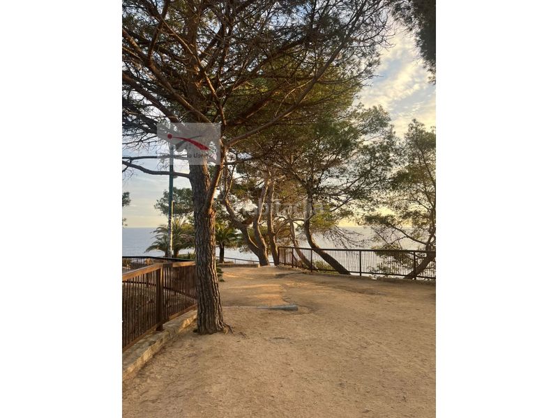 Foto 60fe6351-3361-4bfc-8410-9bbd13f0d8a7. Terreny residencial a Lloret Blau - La Creu de Lloret Lloret de Mar