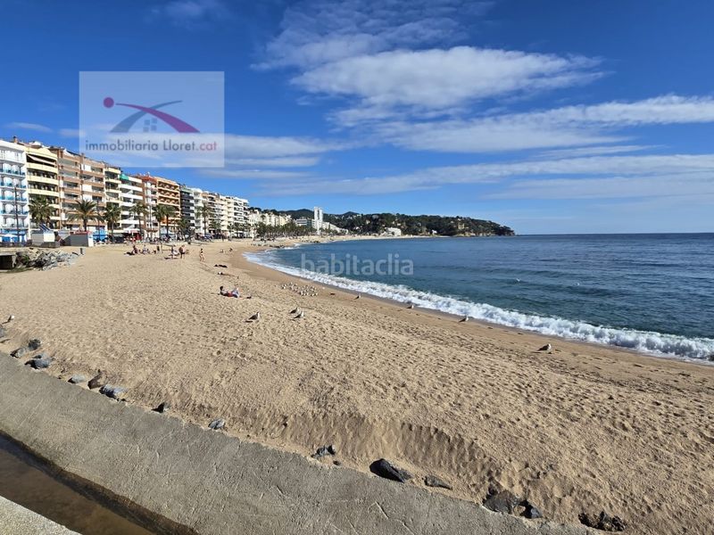 Foto b55dd967-7e78-4691-af49-f255911fe60a. Terreny residencial a Lloret Blau - La Creu de Lloret Lloret de Mar