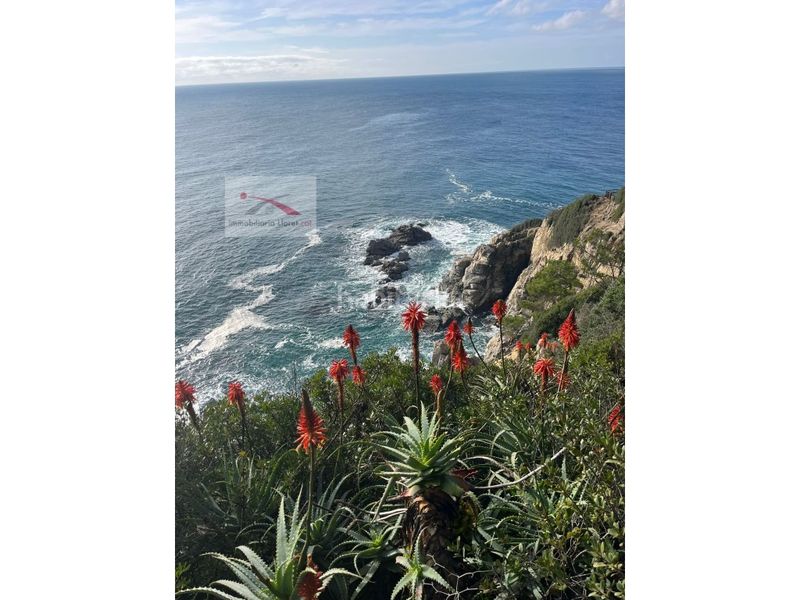 Foto ede32ea1-02ca-4a30-a805-f0240004b334. Terreny residencial a Lloret Blau - La Creu de Lloret Lloret de Mar