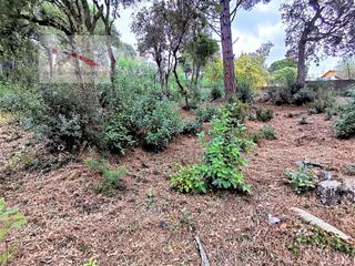 Wohngrundstück in Lloret Residencial - Montlloret. Lloret residencial...terreno soleado y buenas vistas