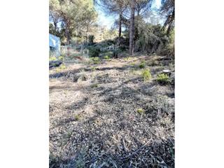 Terreno residencial en Carrer infants 23. Terreno en lloret residencial... da a 2 calles y una es sin sali