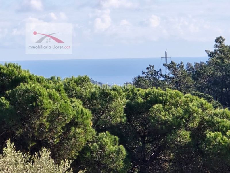 Foto 0f40471d-6066-4689-8c73-06c21690b12e. Terreny residencial a Serra Brava Lloret de Mar