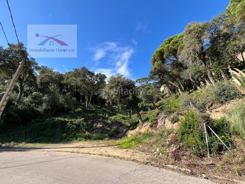Foto 19222a9f-30cc-4015-97b4-058acc4139a1. Terreny residencial a Serra Brava Lloret de Mar