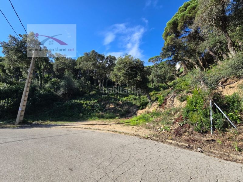 Foto 3b40f13e-d220-446d-ac36-c8a1a58389d3. Terreny residencial a Serra Brava Lloret de Mar