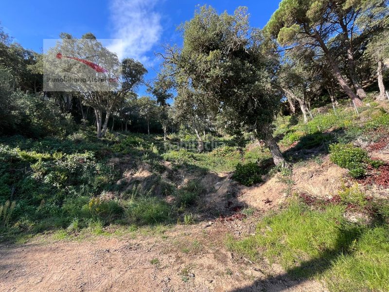 Foto 85def08a-8016-464b-9b0d-082081d9783a. Terreny residencial a Serra Brava Lloret de Mar