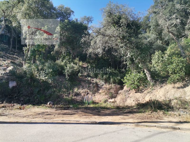 Foto cfec88b6-e8c5-49c6-bac3-029474b833dd. Terreny residencial a Serra Brava Lloret de Mar