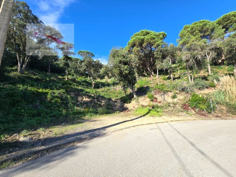 Foto e3e10f59-cf0f-4a1a-9f39-97db716552d0. Terreny residencial a Serra Brava Lloret de Mar