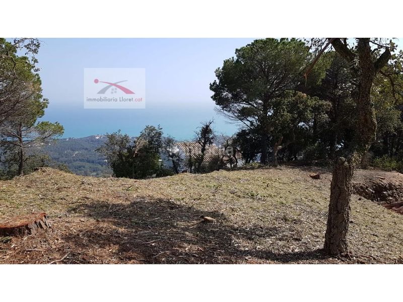 Foto 8d1e5ed1-5e53-4b3a-9995-69722d31e92b. Casa amb aparcament piscina a Roca Grossa Lloret de Mar