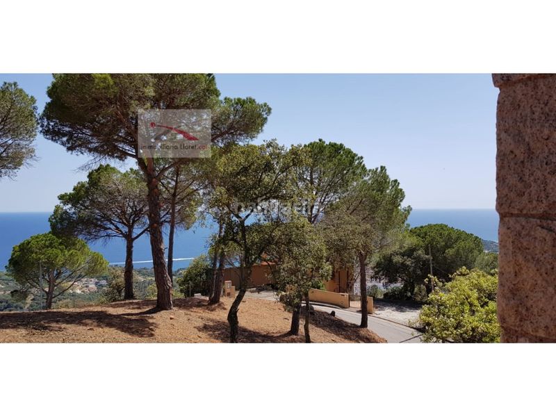 Foto 95968f5a-0347-4e20-ac58-2f9c2e0aefdd. Terreny residencial a Roca Grossa Lloret de Mar