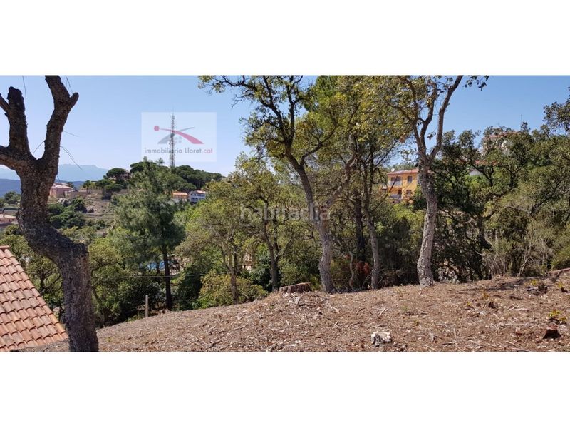 Foto cccb4104-80d5-4b56-9de5-4912b6091aca. Terreny residencial a Roca Grossa Lloret de Mar