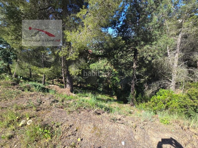 Foto 19351af5-c8f3-459c-b299-a93f59cadf30. Residential plot in carrer alguer 2 in Canyelles Lloret de Mar