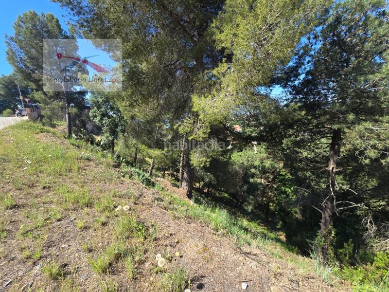 Foto 5f9a5aa8-bce6-4d64-8704-896647ffa40d. Residential plot in carrer alguer 2 in Canyelles Lloret de Mar