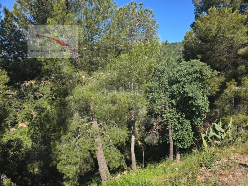 Foto 765ab3fc-517e-413a-88f7-9604da65b256. Residential plot in carrer alguer 2 in Canyelles Lloret de Mar