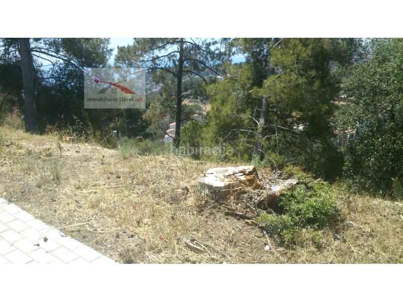Foto cca9073e-2b43-4476-9647-d07c3e5d23e6. Residential plot in carrer alguer 2 in Canyelles Lloret de Mar
