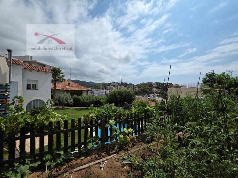 Foto b3d68973-e30d-4548-92f6-44180a2fb978. Haus in Centre Lloret de Mar