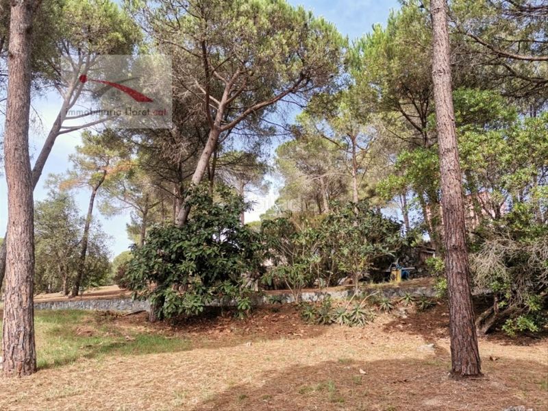 Foto 87801817-7e52-4821-a0dc-4cbf19b96acc. Affitto casa con riscaldamento piscina in Condado del Jaruco - Puigventós Lloret de Mar
