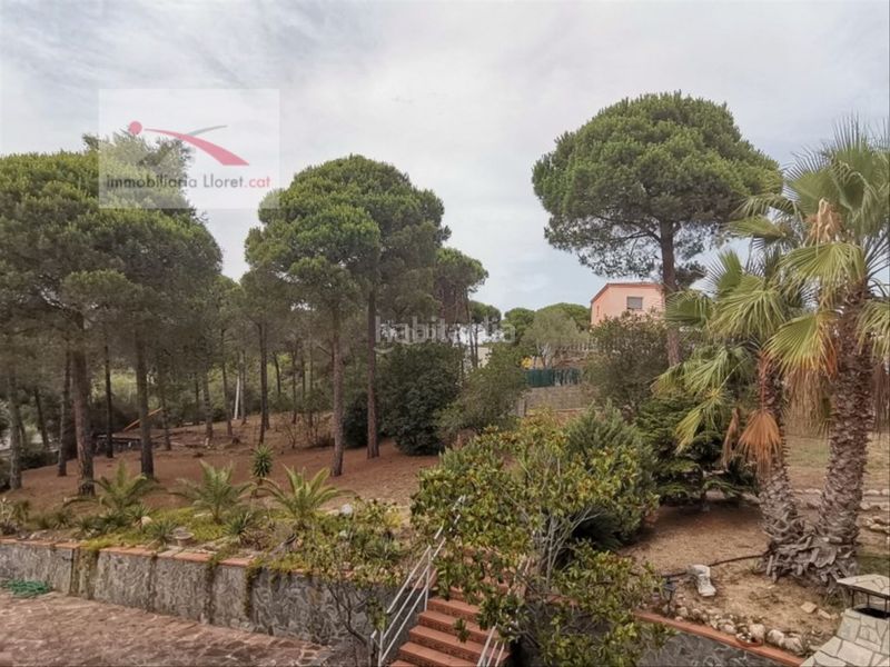 Foto dde4e423-b479-4466-bc43-660623432bea. Affitto casa con riscaldamento piscina in Condado del Jaruco - Puigventós Lloret de Mar