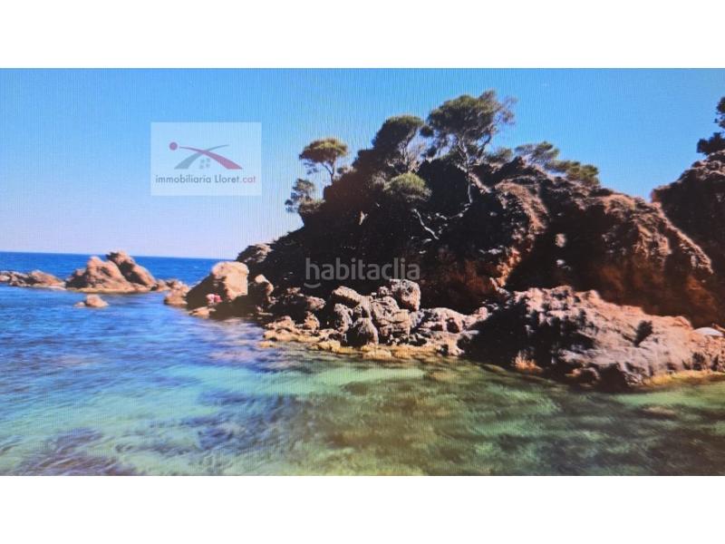 Foto 34a54fce-ca9f-4d8e-97fc-e03485eb123c. Terreny residencial a Vilartagues-Tueda de Dalt Sant Feliu de Guíxols