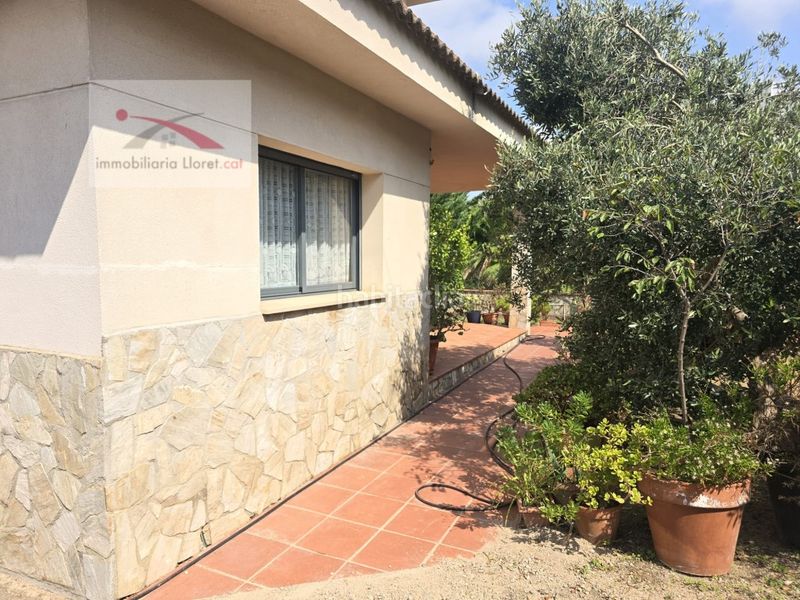 Foto 5d3bd808-3556-4fce-a951-c0071c600f0a. Casa a Lloret Blau - La Creu de Lloret Lloret de Mar