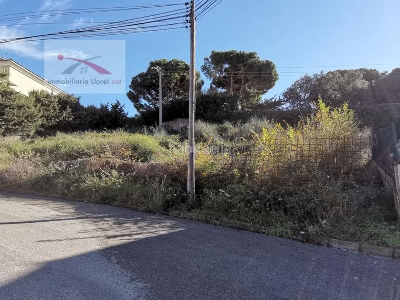 Foto 75f3eb4e-65c4-4bdf-bacc-b197124e0fcd. Terreny residencial a Roca Grossa Lloret de Mar