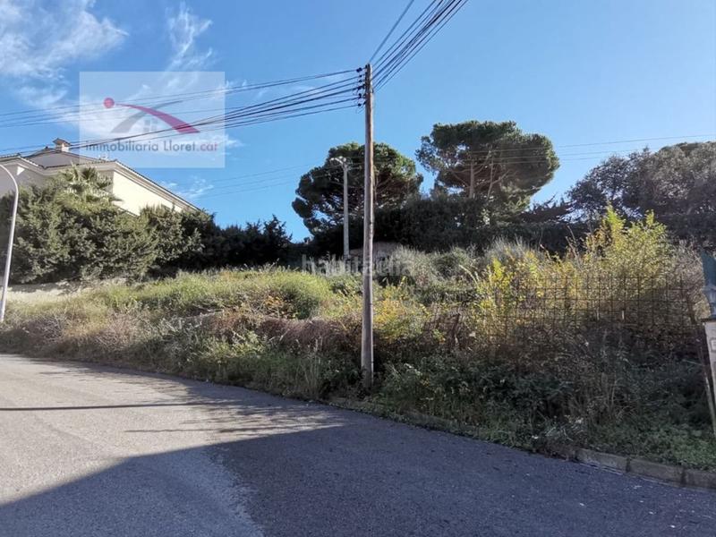 Foto a430934e-0d8c-4056-a58b-bd2cd2c420ae. Terreny residencial a Roca Grossa Lloret de Mar