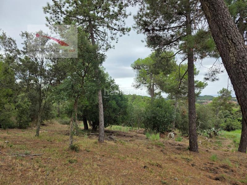 Foto 2bcdf919-69cf-4d0e-b349-7df82edff6df. Terrain résidentiel dans Condado del Jaruco - Puigventós Lloret de Mar