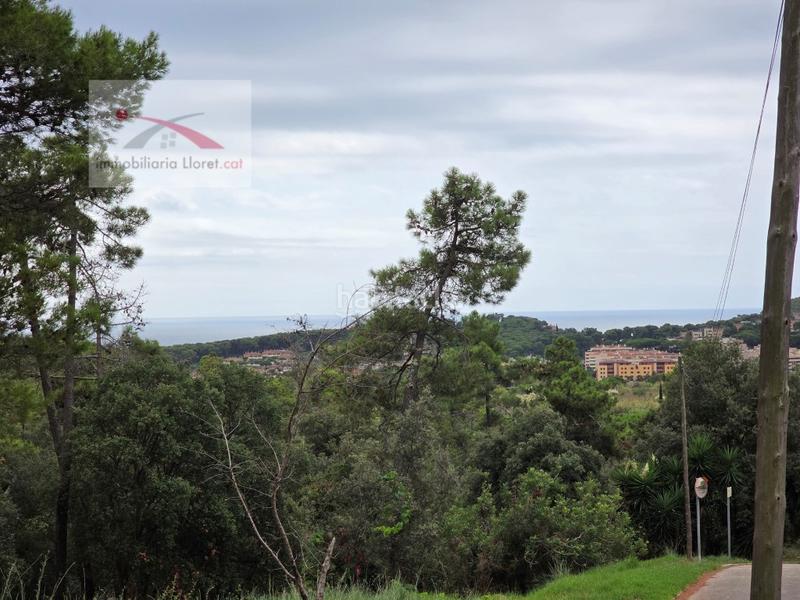 Foto 36c1acc4-b385-43f1-8b88-5b13baf25530. Terrain résidentiel dans Condado del Jaruco - Puigventós Lloret de Mar