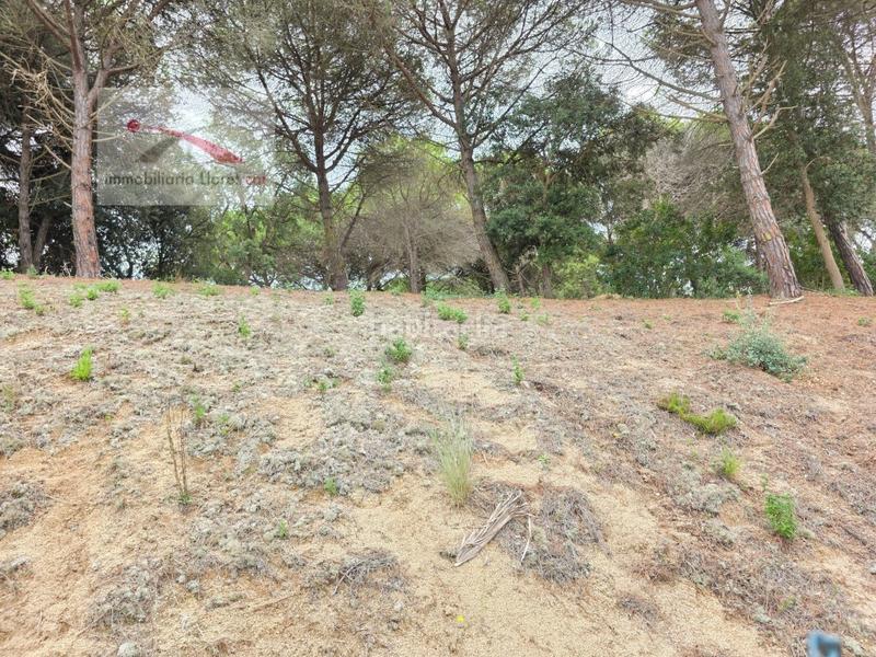 Foto 4f57e627-01f4-4e57-b0df-84ac0761cba0. Terrain résidentiel dans Condado del Jaruco - Puigventós Lloret de Mar