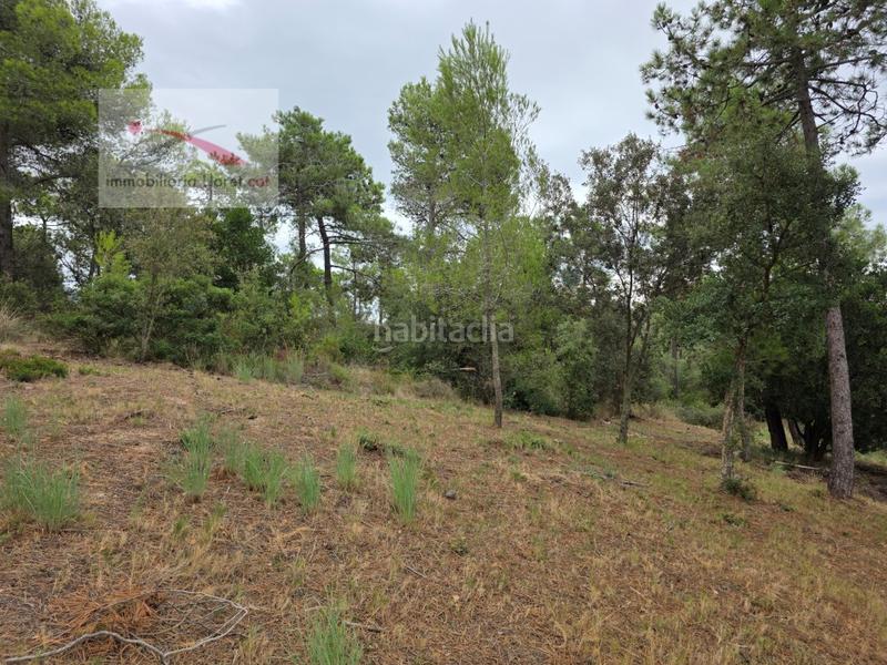 Foto 60c28e47-2524-4649-9da8-e115effe737e. Terrain résidentiel dans Condado del Jaruco - Puigventós Lloret de Mar